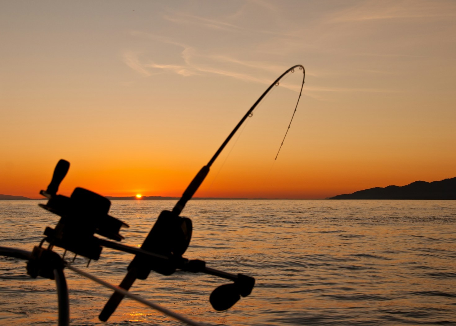 Histórias Inspiradoras de Pescadores Apaixonados